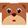 user6330677