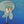 Squidward Tentacles